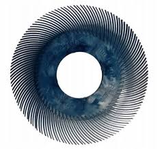 [06887] 3M RB-ZB 33058 ricarica setola radiale tipo C P400 blu 150mm